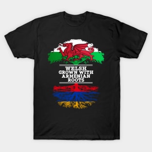 Welsh Grown With Armenian Roots - Gift for Armenian With Roots From Armenia T-Shirt